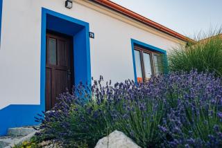 Chalupa Šakvice l Jižní Morava l Pálava - Šakvice - 7