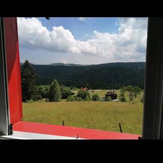 Tara Suncani sjaj-planinska kuca - Šljivovica - 4