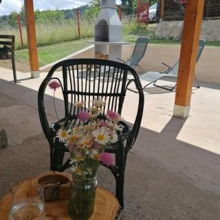 Tara Suncani sjaj-planinska kuca - Šljivovica - 3