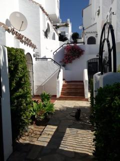 Front Sea View Penthouse - Estepona - 5