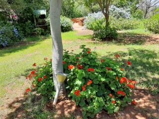 Thirsty Falls CC - 2