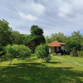 Vikendica Alibegovac - Novi Sad - 6