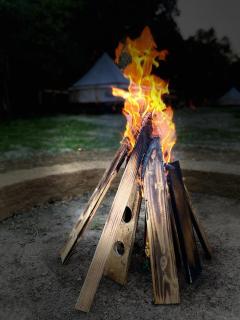 Forest Glamping - Braşov - 9