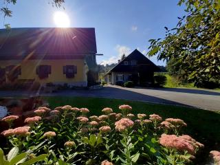 Schilcherweinbau Vollmaier vlg. Wieser - Sankt Stefan ob Stainz - 9
