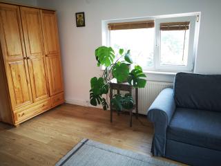 Apartament w Dolinie Popradu 2 - Piwniczna-Zdrój - 7