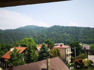 Apartament w Dolinie Popradu 2 - Piwniczna-Zdrój - 6
