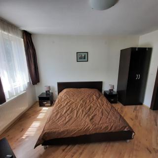 Hotel Radi - Saparewa Banja - 4