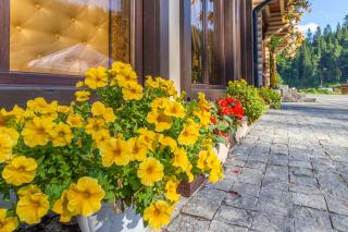 Guest House Turda - 1