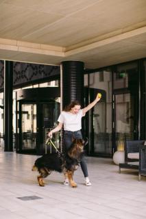 Hotel Timisoara - Timişoara - 3