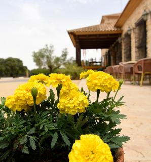 Hotel Rural La Moragona - Vara de Rey - 1