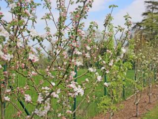 Au Pré Carré - Plumergat - 5