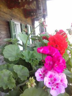 Selbstversorgerhütte Plafing - 3