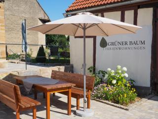 Ferienwohnungen Grüner Baum - Seinsheim - 6