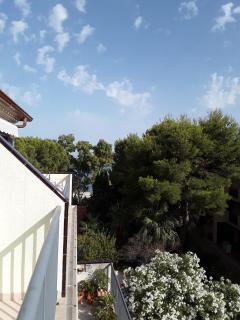 Torre Marsol ORANGE COSTA - Alcossebre - 2