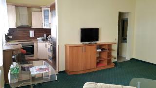 SPA Apartment Raisova - 6