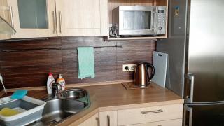 SPA Apartment Raisova - 2