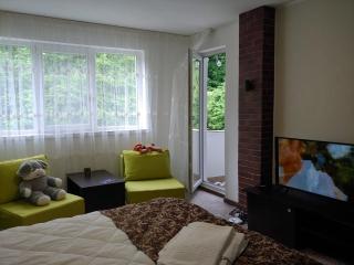 Casa Elena - Brădetu - 5