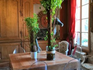 Chambre d'Hôtes au Domaine du Soleil Couchant - Saint-André-de-Roquelongue - 4