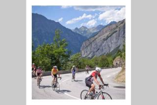 L'edelweis - Le Bourg-dʼOisans - 5