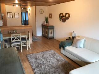Edelweiss Apartment - Maishofen - 4