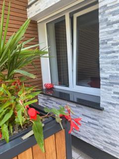 Apartamenty Bernardo Lux - 1