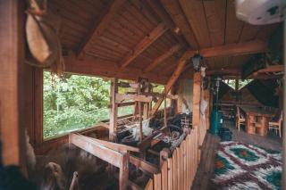 Cabana Trei Brazi - Predeal - 1