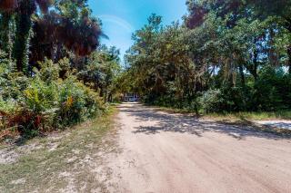 Stare-Gazing - Edisto Beach - 6