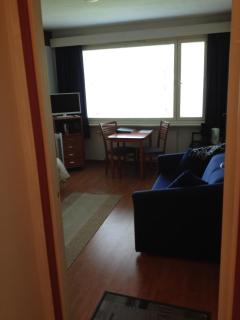 Studio 1 Apartment Tampere - Tampere - 6