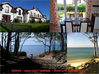 Słoneczne Apartamenty w Dębinie - Debina - 6