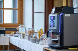 Gasthof Elisabeth - Bad Aussee - 6
