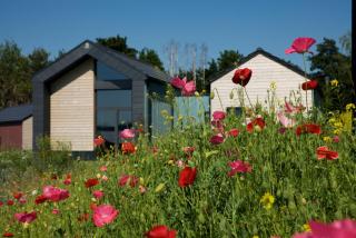 Bio-Seehotel Chalets - Zeulenroda - 0