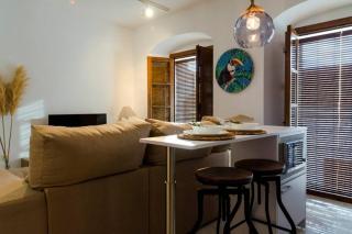 Penthouse in the Historic District - 8