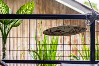 SECRET STUDIO On Factory - 4