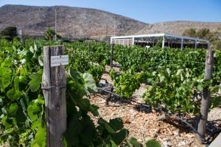 ANEMI Folegandros - 6
