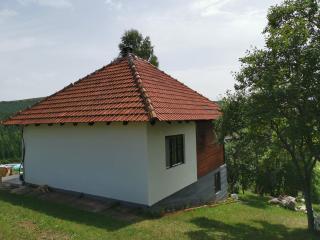 Uvac Griffon - 2