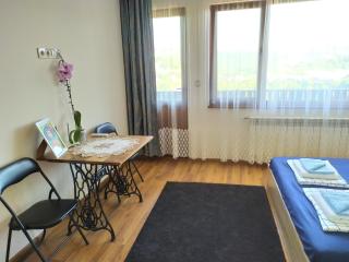 Stefi house - Veliko Tarnovo - 6