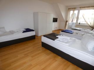 SUNNYHOME Monteurwohnungen und Apartments in Bodenwöhr - Bodenwöhr - 2