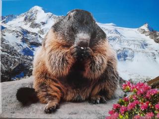 Appartement Hochmuth - 7