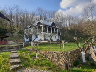 Pensiunea San Pio Sabisa - Săbişa - 1