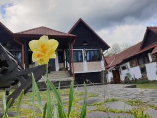 Pensiunea San Pio Sabisa - Săbişa - 1