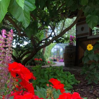 Dworek Szyszki - Kaszuby - 5