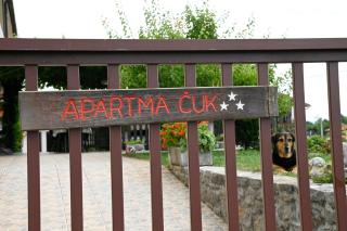 Apartma Čuk - Dutovlje - 8