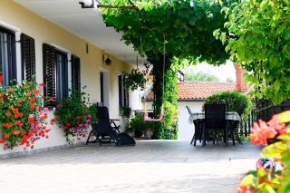 Apartma Čuk - Dutovlje - 5
