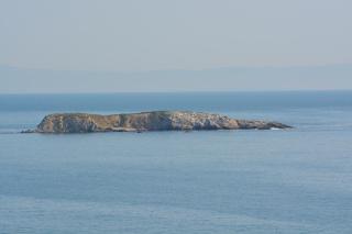 Къща за гости ЕЛЕНИ - Sozopol - 4