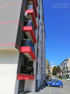 Cozy Apartment Bujorilor Suceava - Suceava - 3