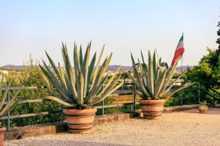 Il Casale Lonato - by Host4U - Lonato - 8
