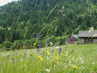 Holiday Home Rustico Enrico by Interhome - Campo Blenio - 1