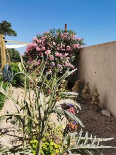 Beach House Mela - 7