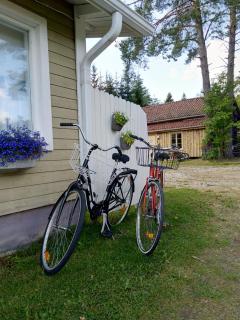 Kulttuurikartano Pekan Pirtit - 2