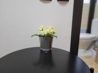 MAG Motel - Bucharest - 1